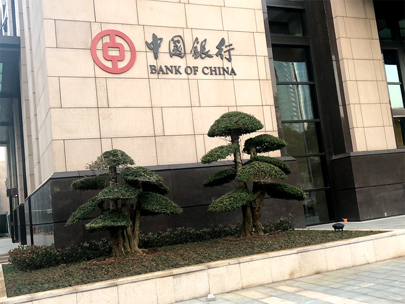 武汉中国银行